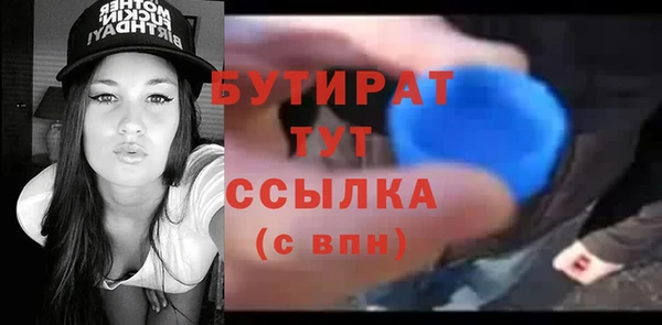 прущие грибы Вязьма